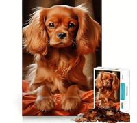 Ruby Cavalier King Charles Spaniel 1000 Piece Jigsaws for Teenagers Puzzle Smart Game Group Play Image Assembly Wall Art Decor (50x75cm)