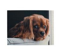 Ruby Cavalier King Charles Spaniel Puppy Dog,500 Pieces Puzzles for Adults-Wooden Jigsaw Puzzle for Adults Elderly