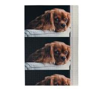 Ruby Cavalier King Charles Spaniel Puppy Dog, Jigsaw Puzzles 1000 Pieces, Wooden Jigsaw Family Game Wall Decor for Adults Teens
