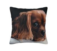 Ruby Cavalier King Charles Spaniel Puppy Dog, Pillow Cover Decorative Throw Pillowcase Soft Polyester Cushion Covers 45x45 cm