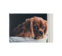 Ruby Cavalier King Charles Spaniel Puppy Dog, Placemats For Dining Table Set Of 6 Washable Table Mats Heat Resistant Tray Mats 30x45 cm