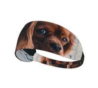 Ruby Cavalier King Charles Spaniel Puppy Dog,Sports Sweatband for Unisex Multi Headband Elastic Exercise Hairband