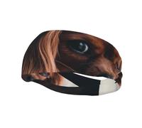 Ruby Cavalier King Charles Spaniel Puppy DogHair Bands for Men Woman Headband Running Headband Sweat Wicking Gym
