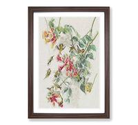 Ruby-Throated Hummingbirds by John James Audubon Framed Print | A2 Walnut Framed Wall Art | Ready to Hang | Modern Nature Picture | Living Room Bedroom Lounge Office