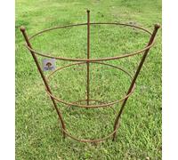 Ruddings Wood Peony Herbaceous Plant Rust Support Frame Garden Flower Stand Ring Cage (H)51Cm (Dia)40Cm