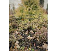 Ruddings Wood Peony Herbaceous Plant Support Frame Garden Flower Stand Ring Cage (H)51Cm (Dia)40Cm