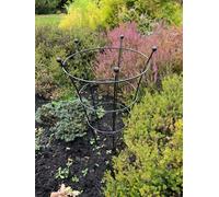 Ruddings Wood Peony Plant Support Plant Ring Herbaceous Frame Medium Heavy Duty (H)67Cm (Dia)40Cm