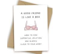 Rude Best Friend Birthday Card, Bestie Birthday Card for BBF Sister Female, Friendship Card for Her, A Good Friend Is Like A Bra