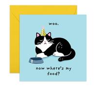 Rude Cat Birthday Card - “Woo. Now Where’s My Food” - Grumpy Pet Greeting Card for Cat Lovers, Pet owners, Him, Her, Men, women, Friends, Colleagues, Neighbour, Brother, Sister -Comes with Stickers