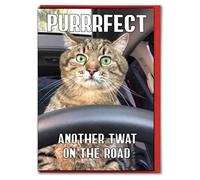 Rude Driving Congratulations Card - Funny Cat Design - Purrrfect Another Twat on the Road Humour - DRIVE02