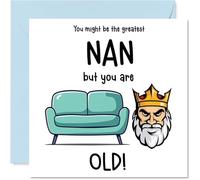 Rude Nan Birthday Card - Sofa King Old - Funny Happy Birthday Card for Nan from Grandson Granddaughter, 145mm Joke Humour Bday Greeting Cards