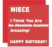 Rude Niece Birthday Card - Absolute A**hole - Funny Happy Birthday Card for Niece from Auntie Uncle, 145mm Joke Humour Bday Greeting Cards
