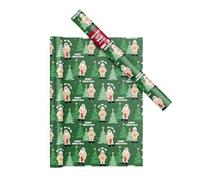 Rude Novelty Christmas Wrapping Paper Roll - Green Rude Nude Santa Festive Wrap - Novelty Funny Wrap - 50cm x 15m - Joke Xmas Wrapping Paper Roll