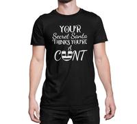 Rude Secret Santa T Shirt- Your Secret Santa Thinks You're A Cunt T Shirt (as8, Alpha, l, Regular, Regular, Black)