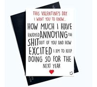 Rude Valentines Day Cards Annoying Each Other Funny Greeting Cards for Him Profanity Cards for Him Valentines Card for Boyfriend Husband Fiancé Fiancée LGBTQ LGBT Gifts Comedy PC744
