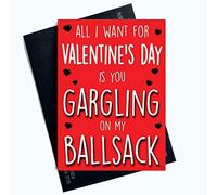 Rude Valentines Day Cards Funny Greeting Cards for Her Ballsack Profanity Cards for Her Valentines Card for Girlfriend Boyfriend Husband Fiancé Fiancée LGBTQ LGBT Gifts Comedy PC789