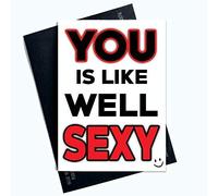 Rude Valentines Day Cards You is Like Well Sexy Funny Greeting Cards for Him Profanity Cards for Her Valentines Card for Boyfriend Husband Fiancé Fiancée LGBTQ LGBT Gifts Comedy PC748