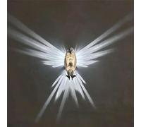RUDFUZ 3D Animals LED Wall Light Magical Owl Eagle Resin Night Light 3D Printed Wall Decoration Wall Light Battery Operated for Bedroom Living Room Stairway Hallway Kitchen Pub Cafe(Without Battery)