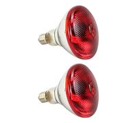 Rudiaoa 2pcs Heat Lamp 200W Bulbs 250W for Chicken Coops Brooder and Pet Warming in Cold Weather