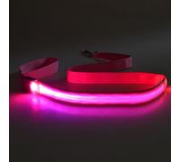 Rudiaoa 4Pcs LED Dog Leash Rechargeable Waterproof Nylon With Padded Handle For Night Walking Glow In Dark For Pet Pet Leash