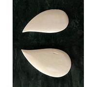 Rudra Veena 2 Side Bridges Camel Bone without wood base