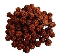 Rudraksha Beads 21-Piece Lot (Big Size 18mm Bead) 5 Mukhi Natural Himalayan Prayer Rudraksha | Round Loose Bodhi Beads for Meditation, Yoga, Mala, Bracelet & Spiritual Jewelry Making Supplies
