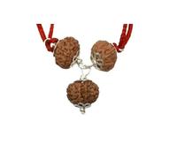 Rudraksha Kavach For Business Growth Energized Original Java Beads Certified