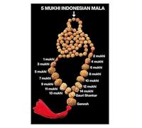 Rudrashiv Blessing 1-14 Mukhi, Ganesh, Gaurishankar Siddha Mala Original Indonesian Lab Certified