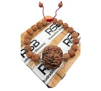 Rudrashiv Blessing 5 Mukhi Nepal Rudraksha Original Adjustable Red Silk Thread Rudraksha Bracelet Energized (Large 24mm-26mm)