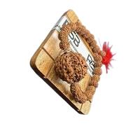 Rudrashiv Blessing 6 Mukhi Nepal Rudraksha Original Adjustable Rudraksha Bracelet Energized (Small)