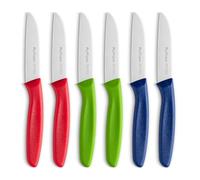 Ruffulon Classic Paring Knives with Straight Edge, Spear Point Color Paring Knife Set of 6, for Fruit and Vegetables，Extra Sharp Blade, Stainless Steel,8 cm, Robust Plastic Handle, Red/Green/Blue