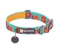 Ruffwear Flat Out Collar, Classic Dog Collar for Large to Very Large Breeds, Adjustable Fit, Size: Large (51-66 cm/20-26 in), Spring Burst