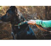 Ruffwear Front Range Dog Collar Spring Fade - Size 279mm-355mm