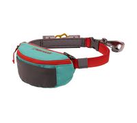 Ruffwear Hitch Hiker Leash in Aurora Teal