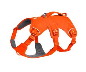 Ruffwear Web Master Dog Harness, Y-Front Dog Harness with Handle & Improved Buckle, Adjustable & Lightweight for Walks & Hikes, Anti Escape, No Pull, Breathable & Comfy, Blaze Orange, Large/X-Large