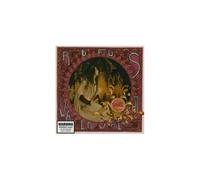Rufus Wainwright : Want Two CD