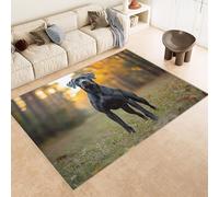 Rug 60x120 cm Faux Cashmere Bright Pattern Dog Grass Flowers 3D Print Anti-Slip Stain-Resistant Machine/Vacuum Washable Rugs for Living Room Hallway Breakfast Nook Heritage Home Under the Table