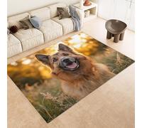 Rug 60x120 cm Faux Cashmere Bright Pattern Dog Grass Sunshine 3D Print Anti-Slip Stain-Resistant Machine/Vacuum Washable Rugs for Living Room Hallway Breakfast Nook Heritage Home Under the Table