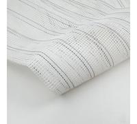 Rug Hooking Mesh Canvas Designed for Latch Hook Crafting Use in DIY Home Decor Tapestry Pillowcases Cushions Blankets and Creative Projects (50 * 100cm)