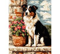 Rug Making Kit For Adults Border Collie And Potted Plants Latch Hook Rug For Diy With Cushion Tools Sets Cross Stitch Kit For Beginners And Adults Embroidery Tapestry set Large 31x63in