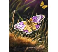 Rug Making Kit For Adults Cartoon Butterfly Animal Large Latch Hook Rug，Pre-Printed Pattern Canvas Tapestry Embroidery Adults Handicrafts Diy Craft Cross Stitch Kits 31x63in