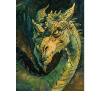 Rug Making Kit For Adults Color Dragon Animal Latch Hook Rug Kit Diy Rug, Latch Hook Rug Making, Diy Rug For Home Decor For Teenager And Adults Rug Making Kit For Adults Latch Hook 21x29in