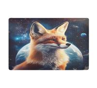 Rug Red Fox Planet Earth Easy To Clean Bath Mat Print Barrier Mat For Home Bathroom Pets 40X60Cm
