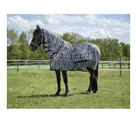 Rug Riding World Combo