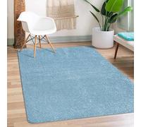Rug Shaggy Fluffy Soft Pile Carpet - Cozy Area Mat for Living Room Bedroom Large and Small Spaces (Aqua, 80x150 CM)