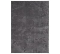 (anthracite, 200 x 280 cm) vidaXL Rug Short Pile Soft and Washable Floor Mat Area Rug Bedroom Carpet
