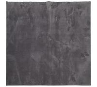 (anthracite, 160 x 160 cm) vidaXL Rug Short Pile Soft and Washable Floor Mat Area Rug Bedroom Carpet