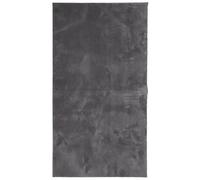 (anthracite, 80 x 150 cm) vidaXL Rug Short Pile Soft and Washable Floor Mat Area Rug Bedroom Carpet