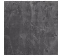 (anthracite, 200 x 200 cm) vidaXL Rug Short Pile Soft and Washable Floor Mat Area Rug Bedroom Carpet
