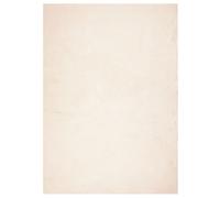 (beige, 140 x 200 cm) vidaXL Rug Short Pile Soft and Washable Floor Mat Area Rug Bedroom Carpet